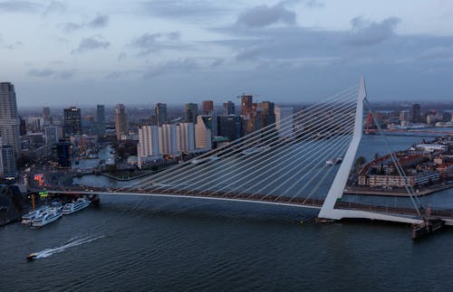 Rotterdam skyline