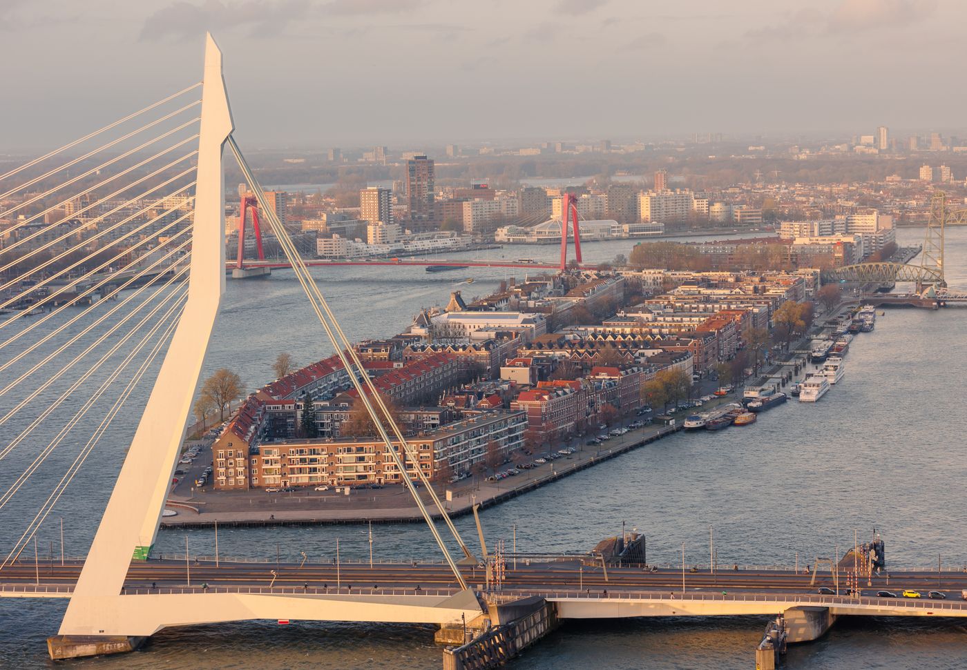 Featured image for Thirteen Years at the Top: The History of the Rotterdam Marathon