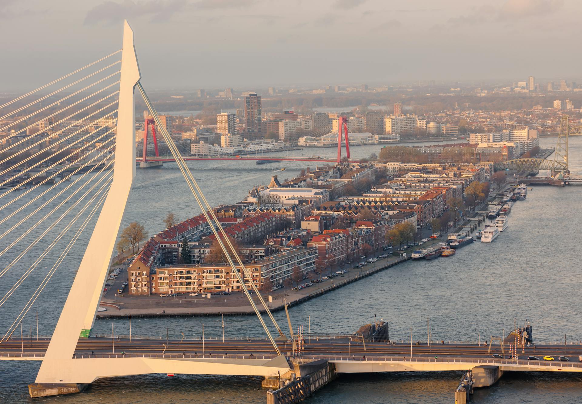 Suspension Bridge by the Harbor in Rotterdam