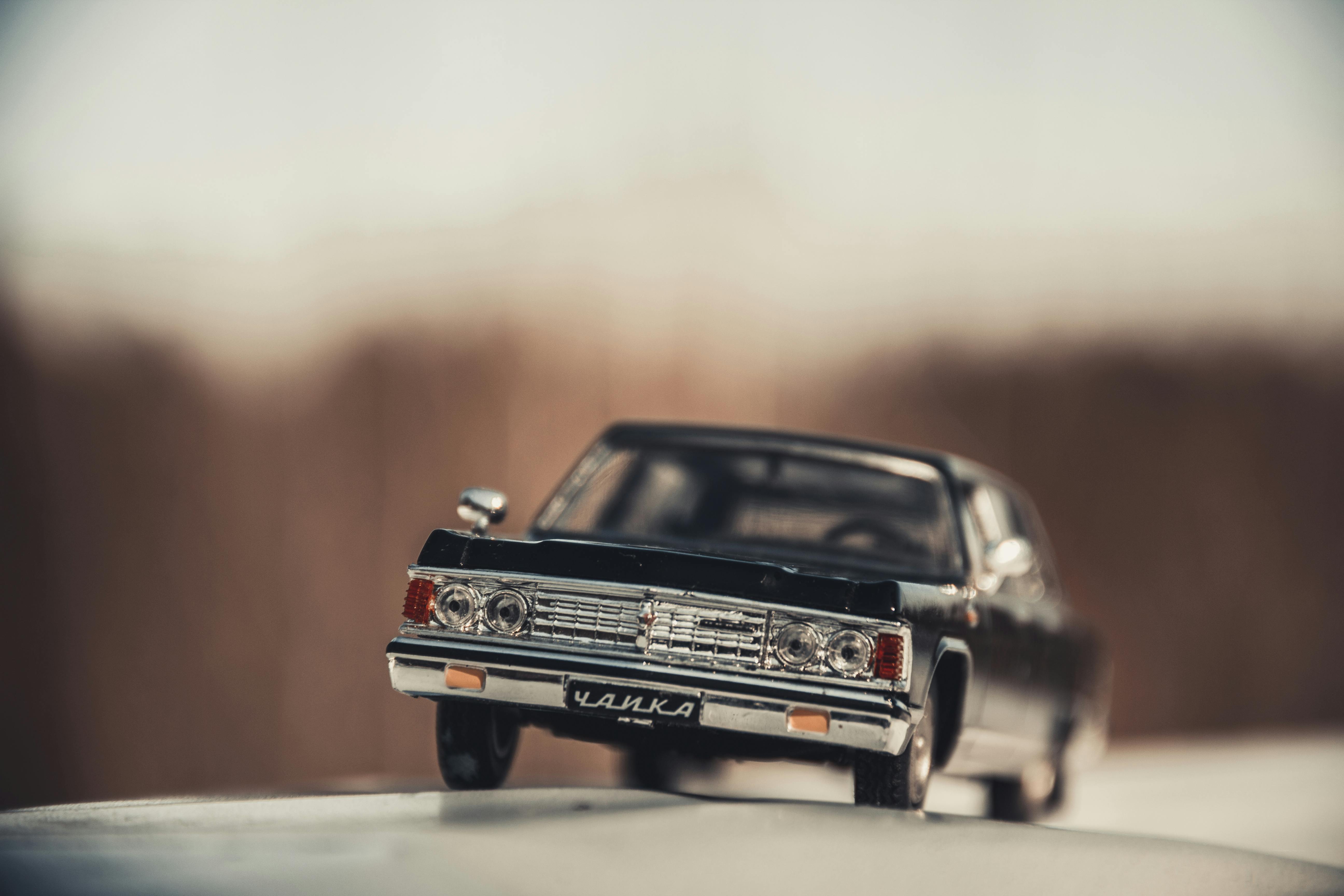 Exposer Votre Passion : Astuces pour la Mise en Valeur