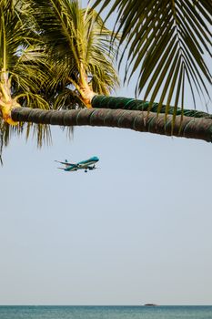 A serene tropical scene with a plane landing near palm trees on Phu Quoc Island.