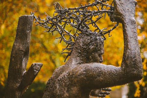 Бесплатное стоковое фото с бронзовый, ветви, иисус