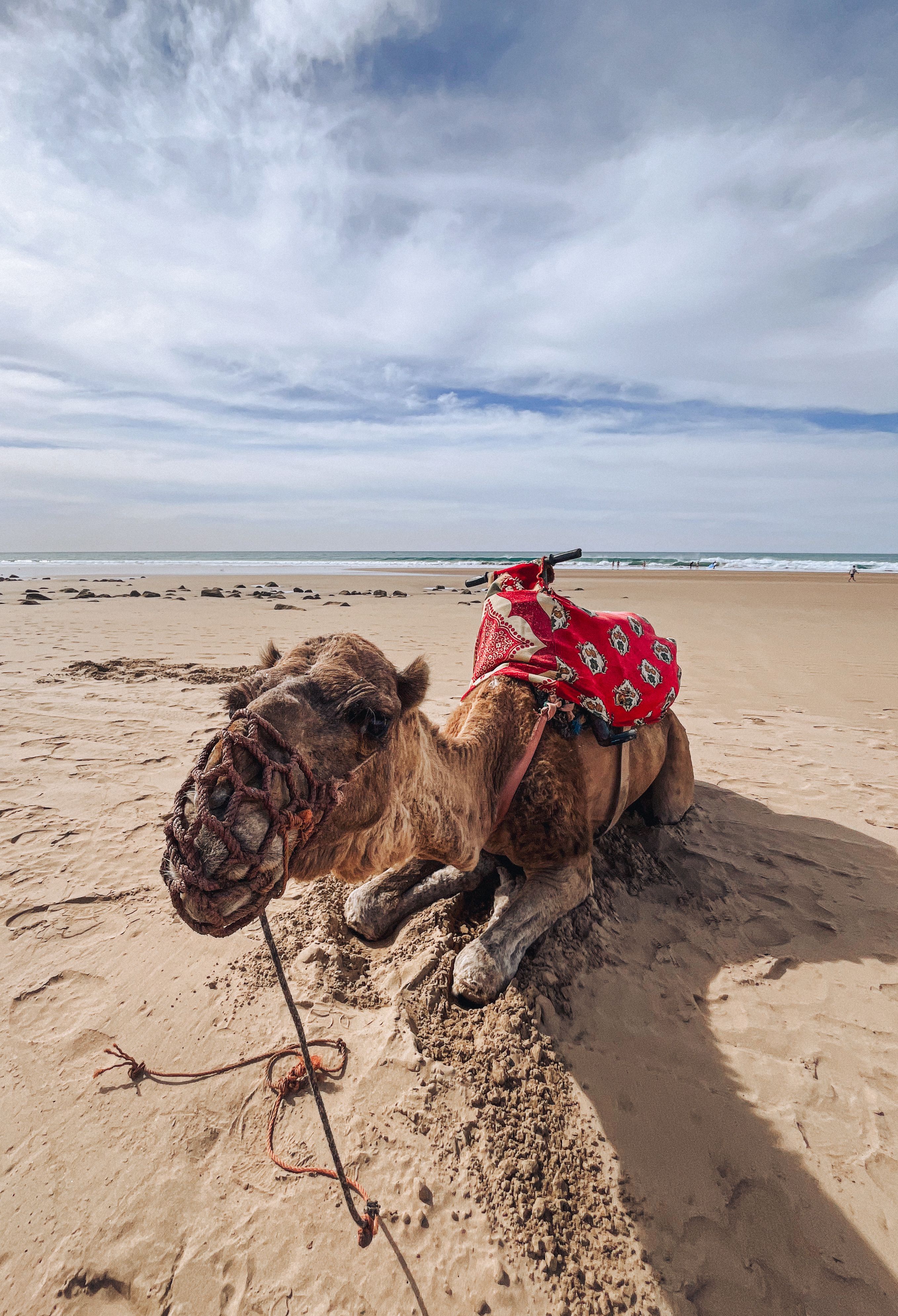 Agadir Morocco Atlantic coast
