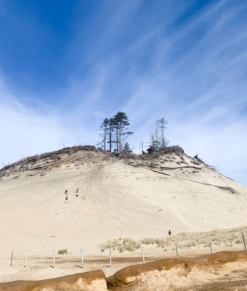 Free stock photo of beach, explore, sand