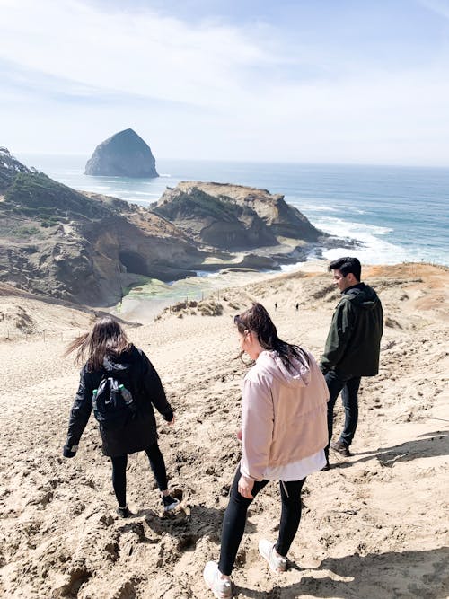 Free stock photo of beach, friends, love