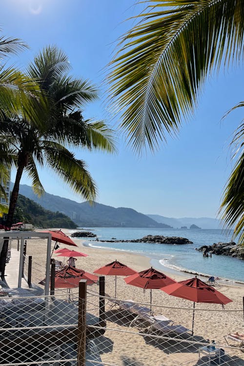 A beach with red umbrellas and palm trees