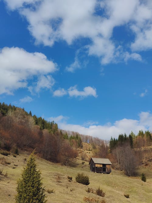 Gratis stockfoto met berg, heuvel, houten hut