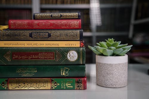 Books and Plant in a Vase on a Table 
