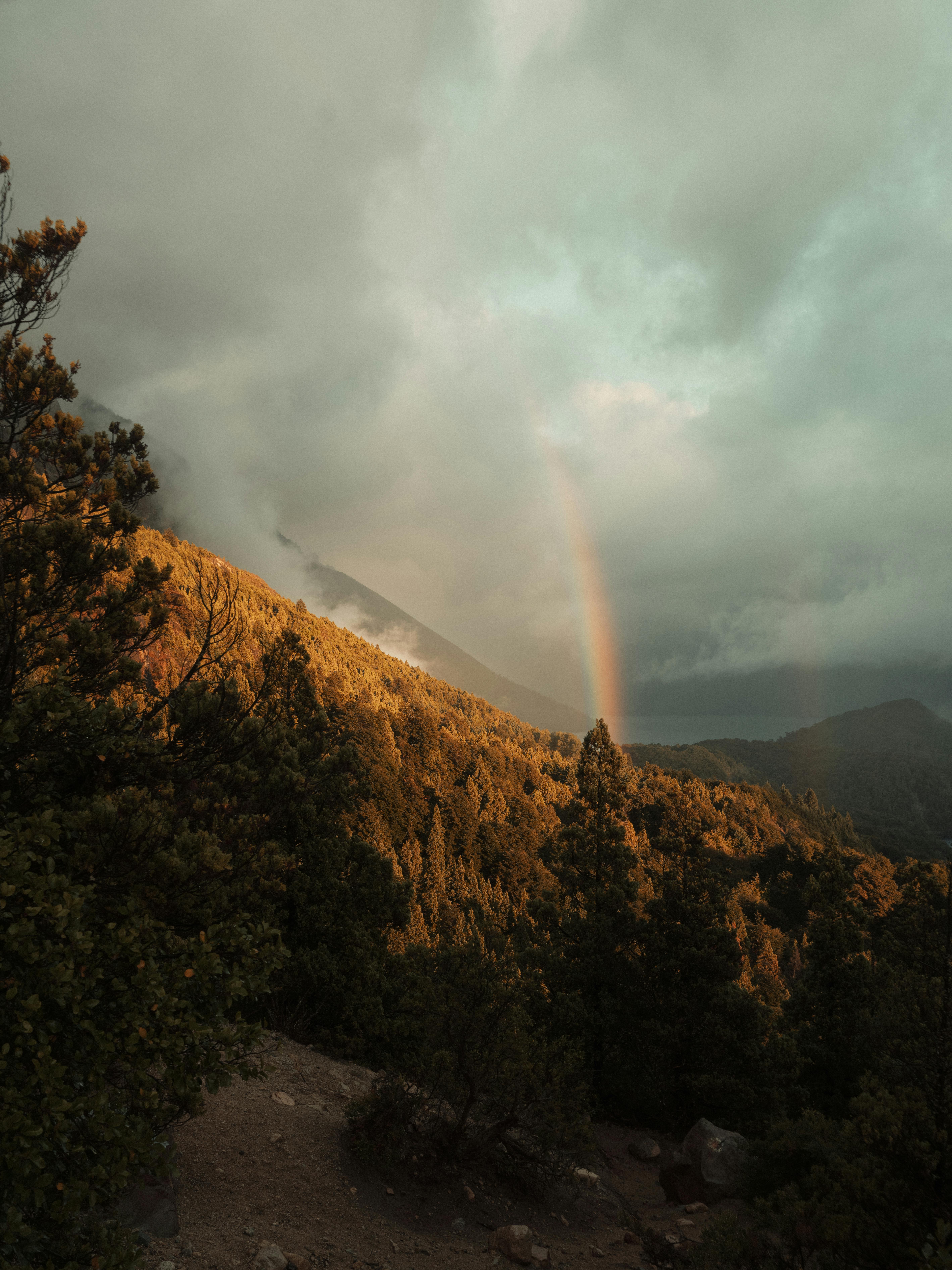 Stunning rainbow over lush mountains in Bariloche, Argentina.