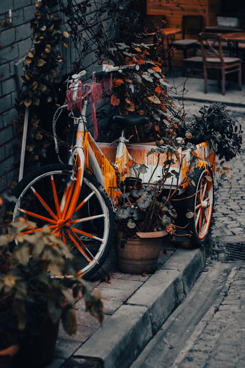 Fotobanka s bezplatnými fotkami na tému bicykel, chodník, kameň