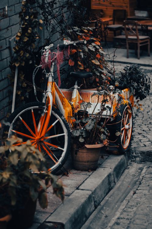 Free Colorful bicycle adorned with plants in a quaint İstanbul alley, offering a rustic charm. Stock Photo