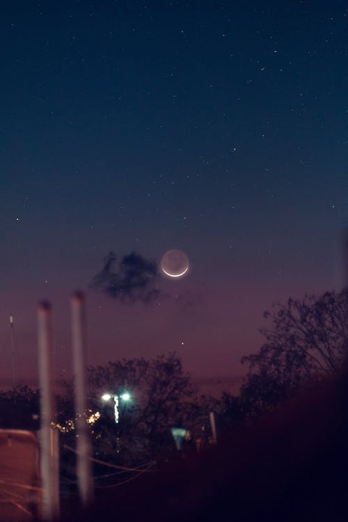 Foto profissional grátis de ao ar livre, árvore, astronomia