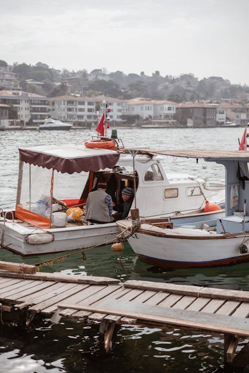 Imagine de stoc gratuită din barcă de pescuit, curcan, fotografiere verticală