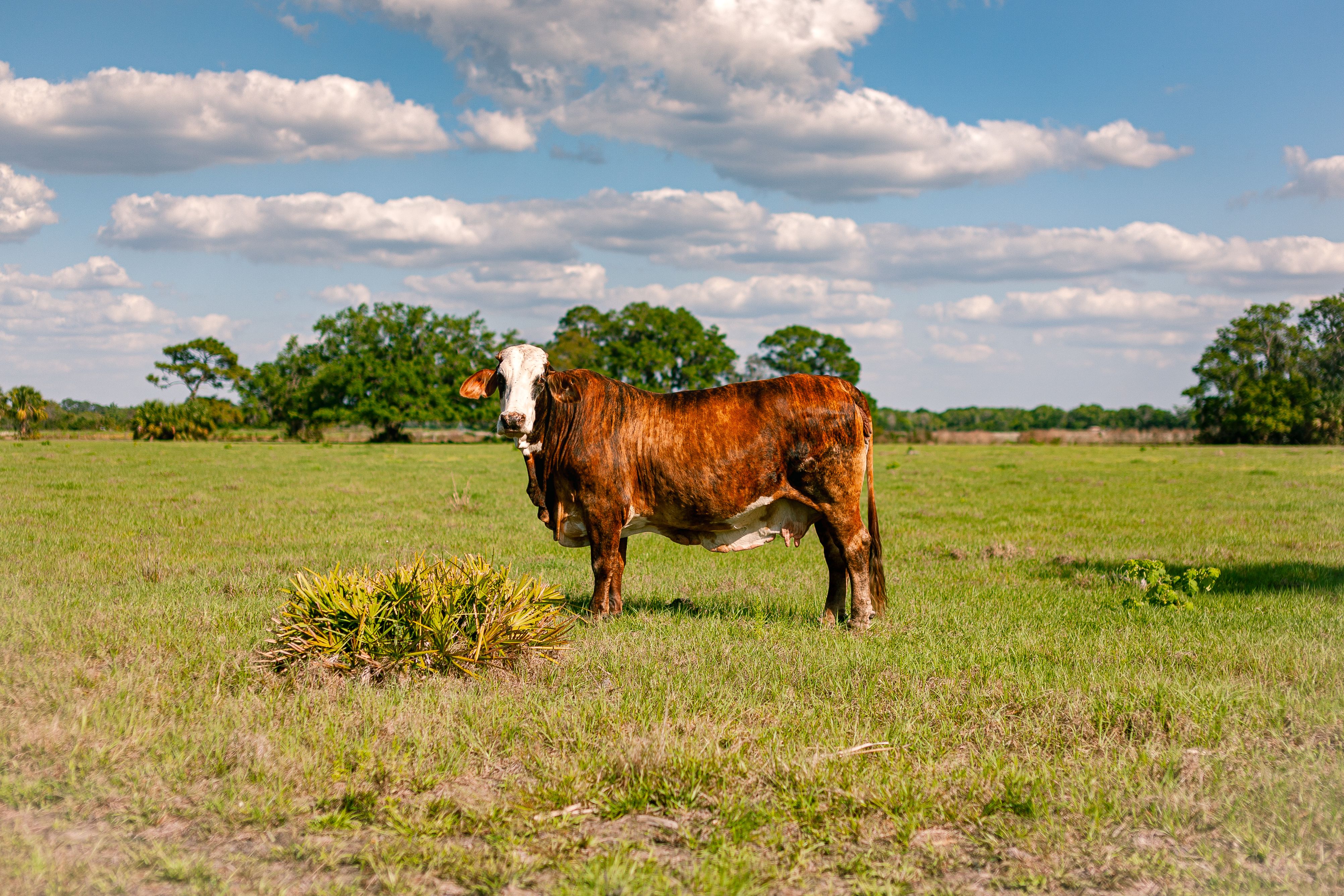 Martin County, Florida