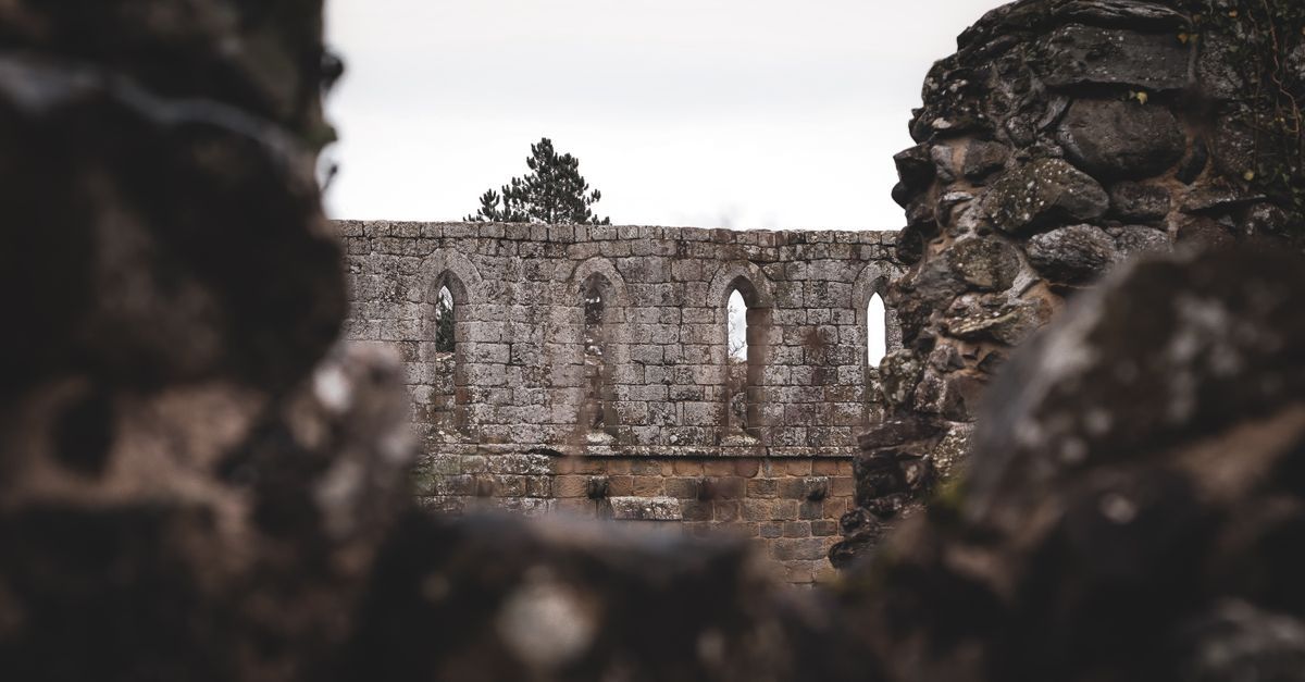 Explore the ancient stone ruins of Jervaulx Abbey, offering a glimpse into history.