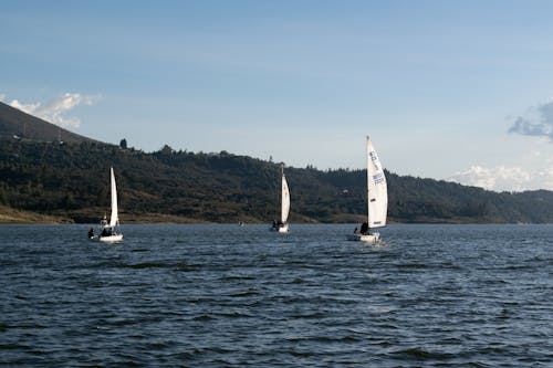 Three sailboats are sailing on the water