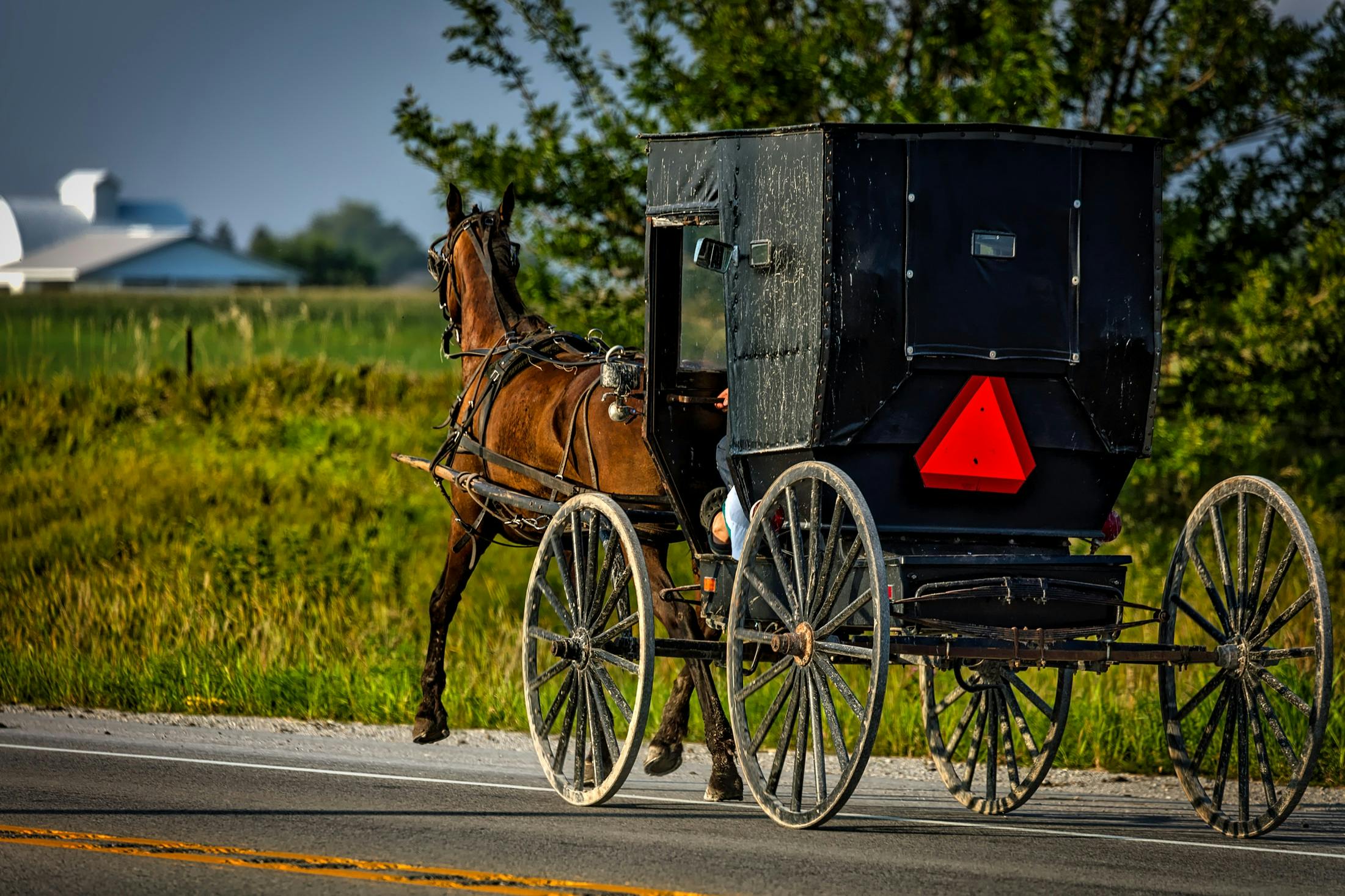 Image result for amish buggy free image"