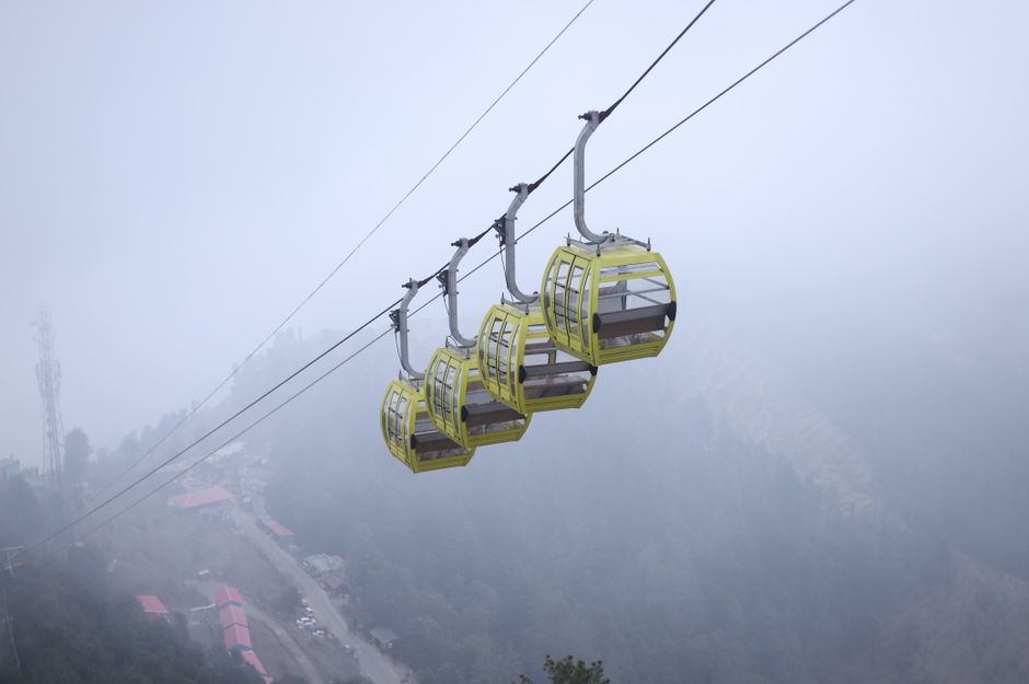 Parwanoo (Timber Trail)