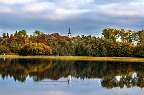 бесплатная Озеро с фоном деревьев Стоковое фото
