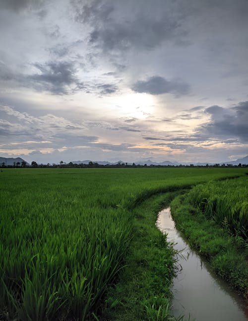 A stream runs through a field under a cloudy sky