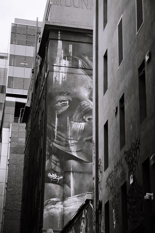 Free Captivating black and white mural showcasing urban street art in Melbourne's alleyways. Stock Photo