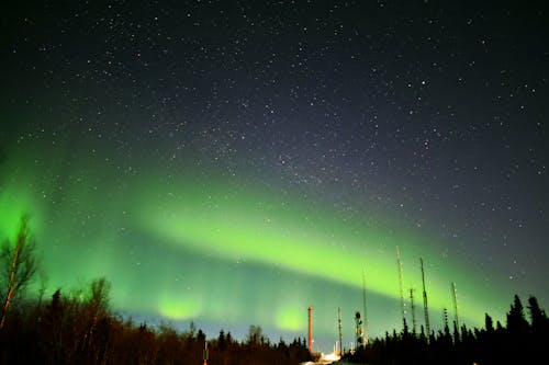 Free stock photo of aurora, fairbanks, northern lights Stock Photo