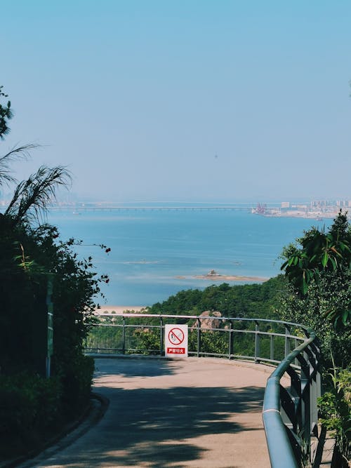 An Empty Road Surrounded with Greenery and with View of the Sea in the Front 