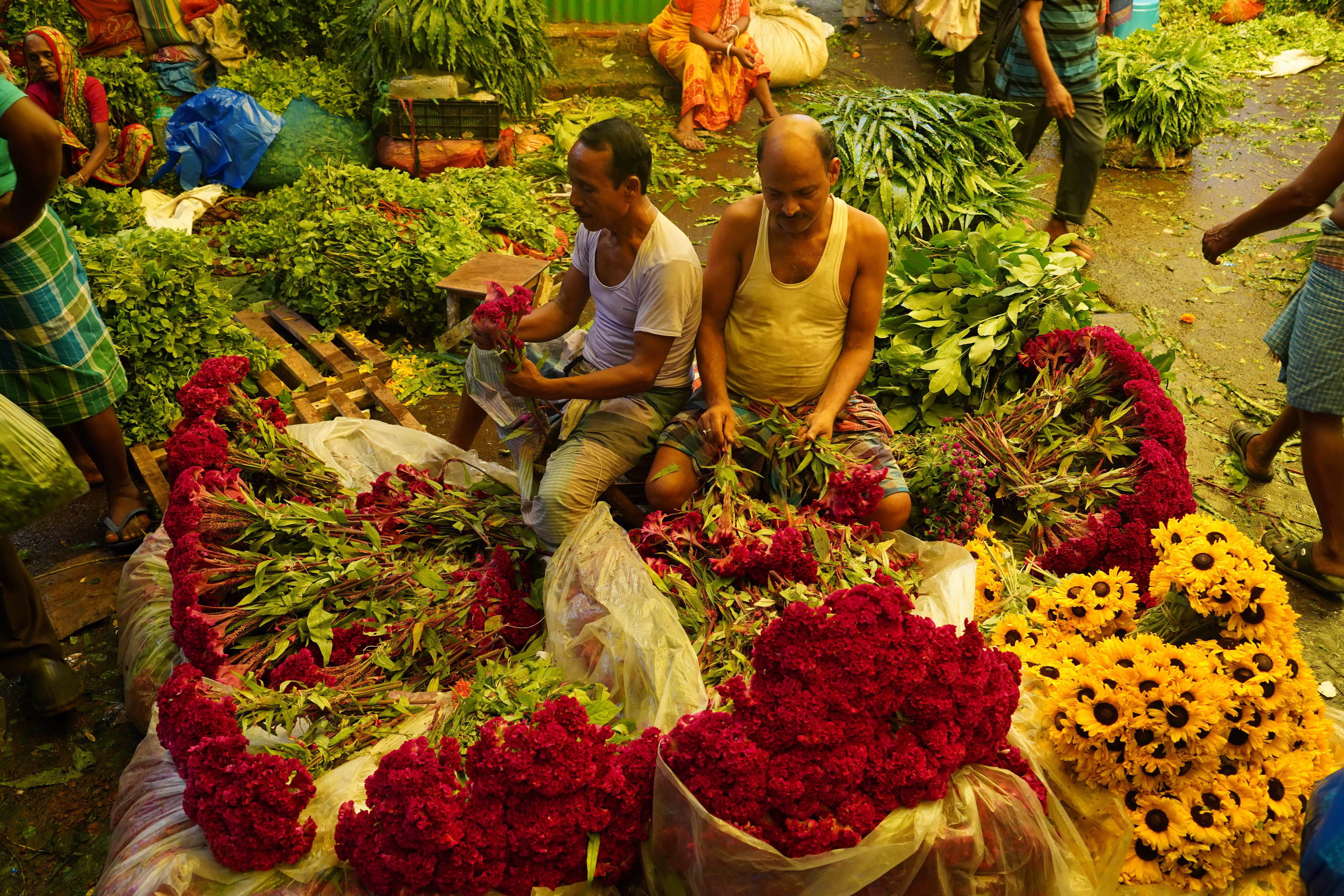 Abundance of Flowers at Bazaar · Free Stock Photo