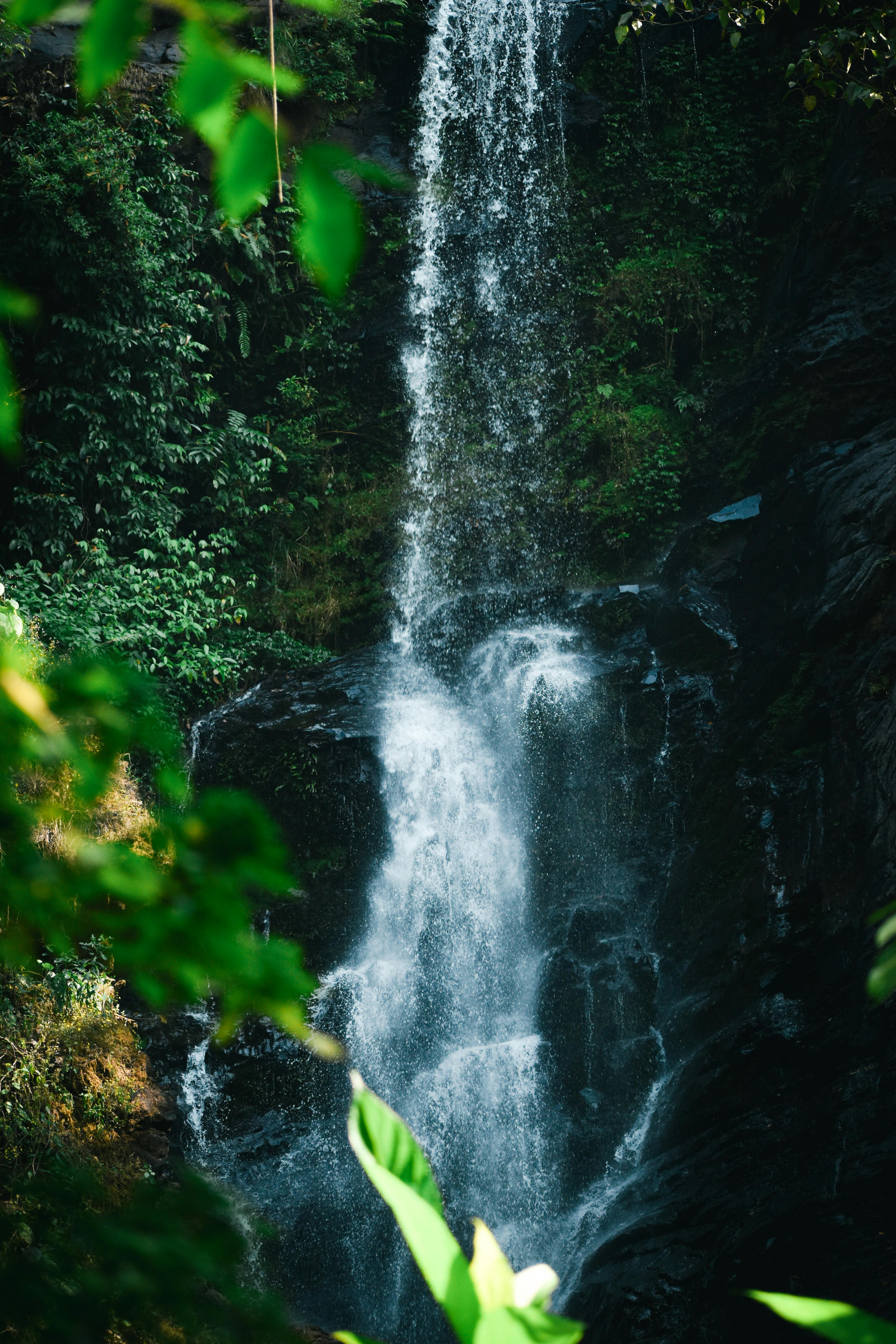 Serene vertical shot of a stunning waterfall cascading through dense greenery in GA, India.