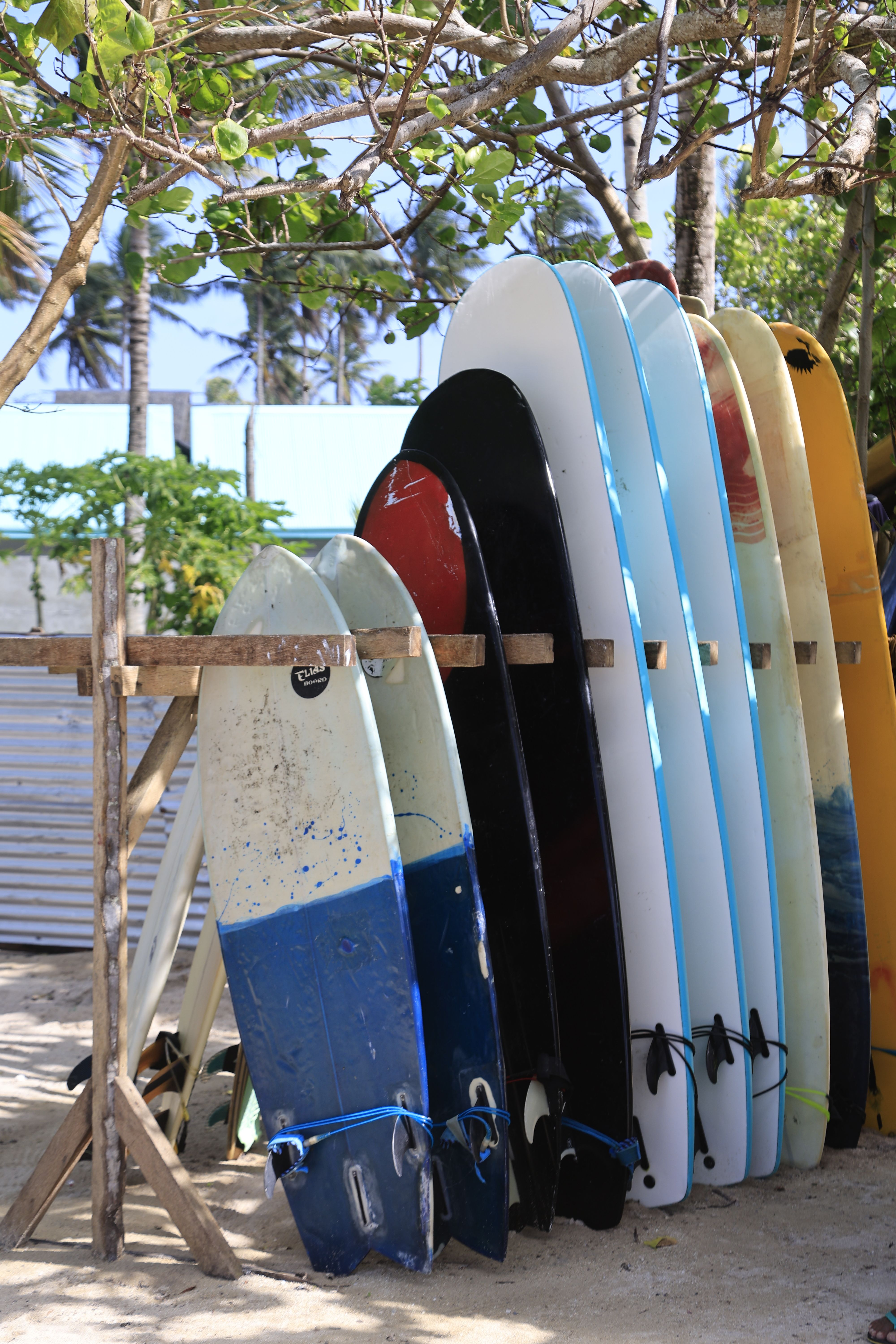 surfboards lined up on sandy beach