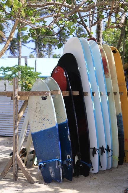 surfboards lined up on sandy beach