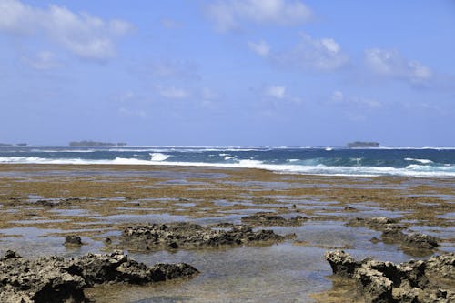 Foto profissional grátis de água, areia, litoral