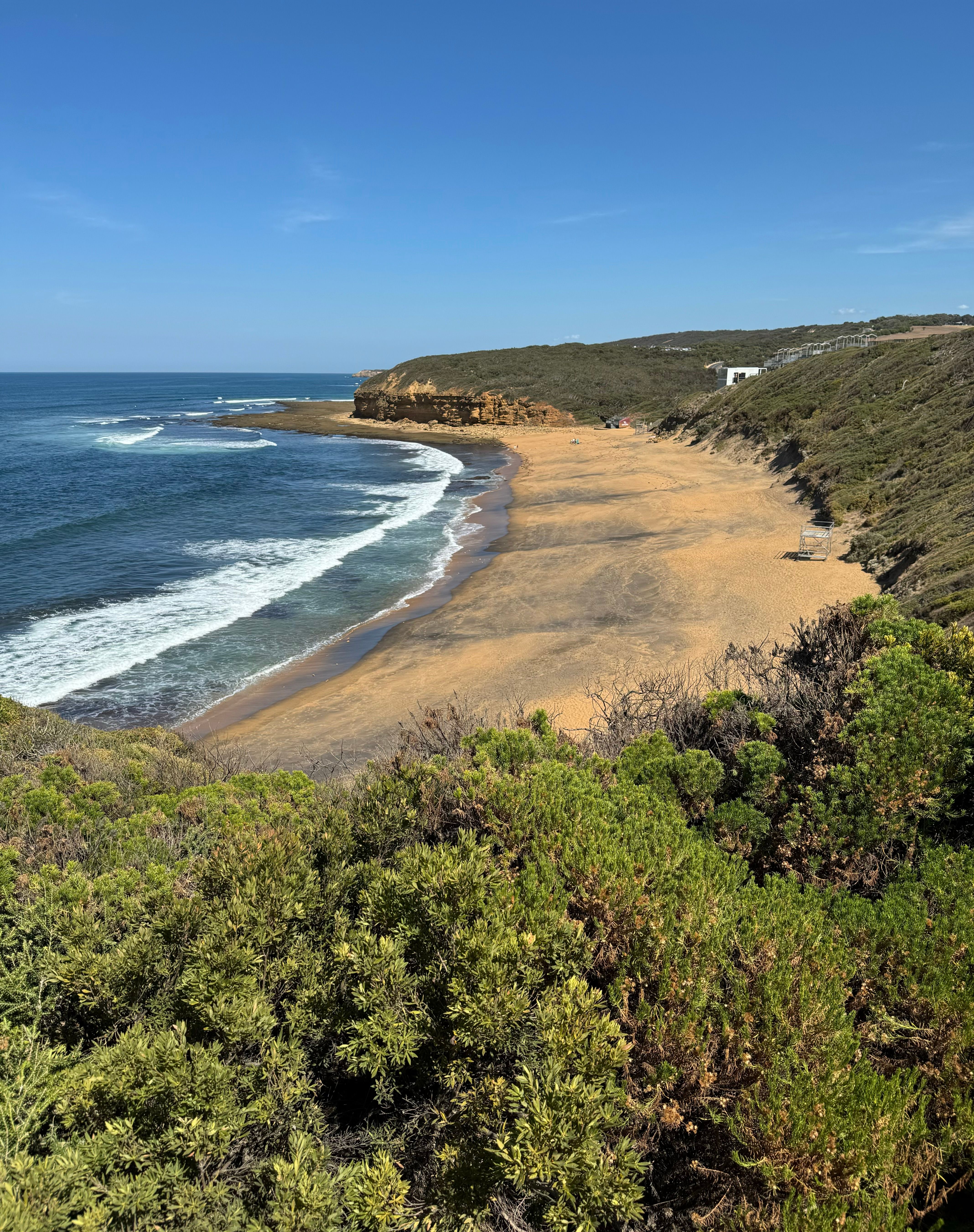 Sandy Beach in Small Bay with Plants · Free Stock Photo