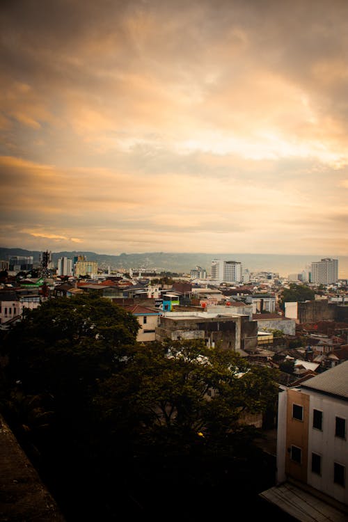 A view of the city from a rooftop