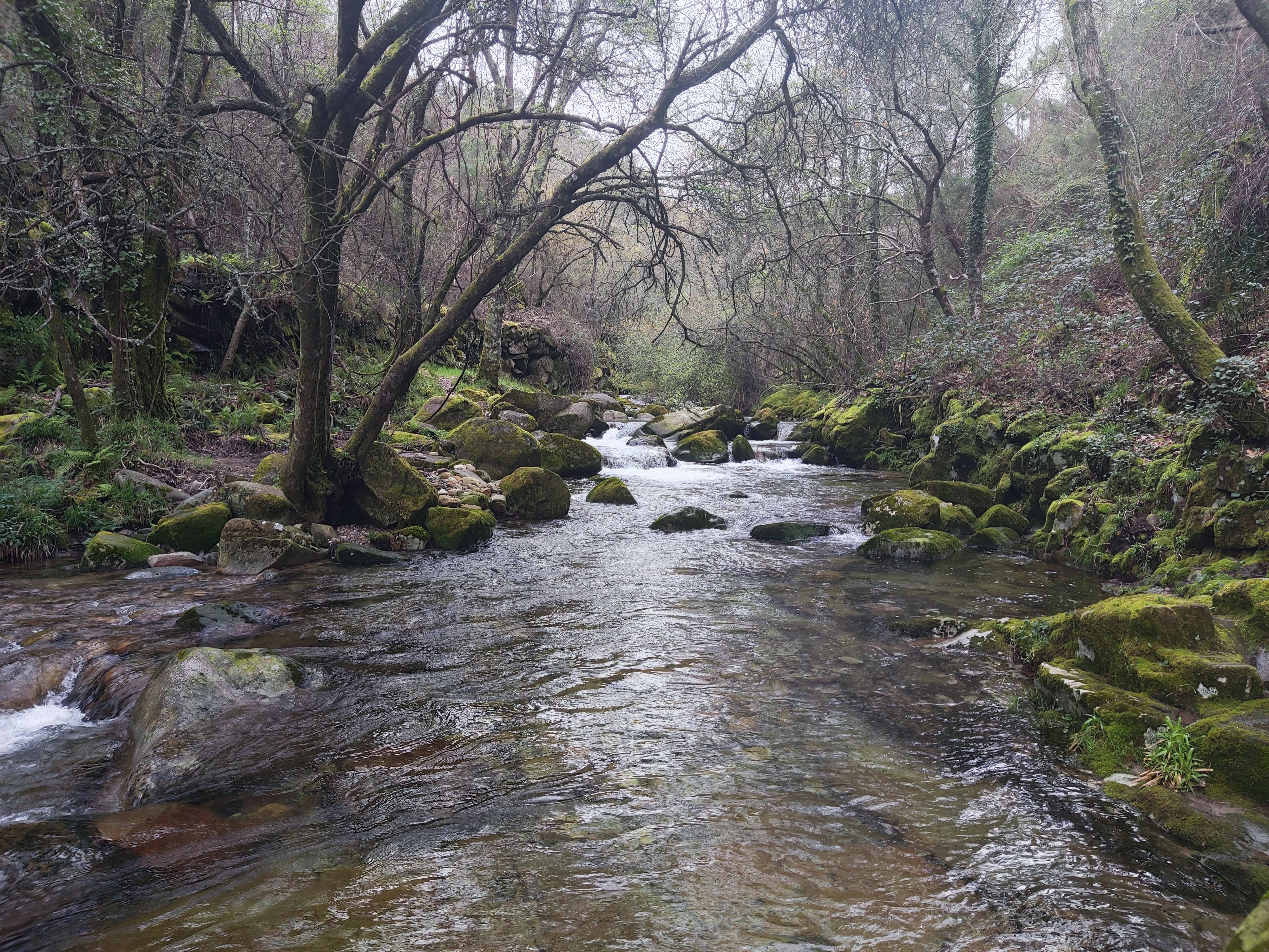 Fragas do Eume Natural Park (day trip)