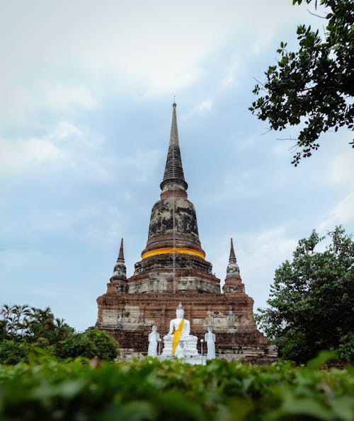 Immagine gratuita di alberi, ayutthaya, buddista