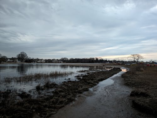 Daybreak. 45° F. 6:00 to 7:27 am. March 17, 2024. Cove Island Park, Stamford, CT.