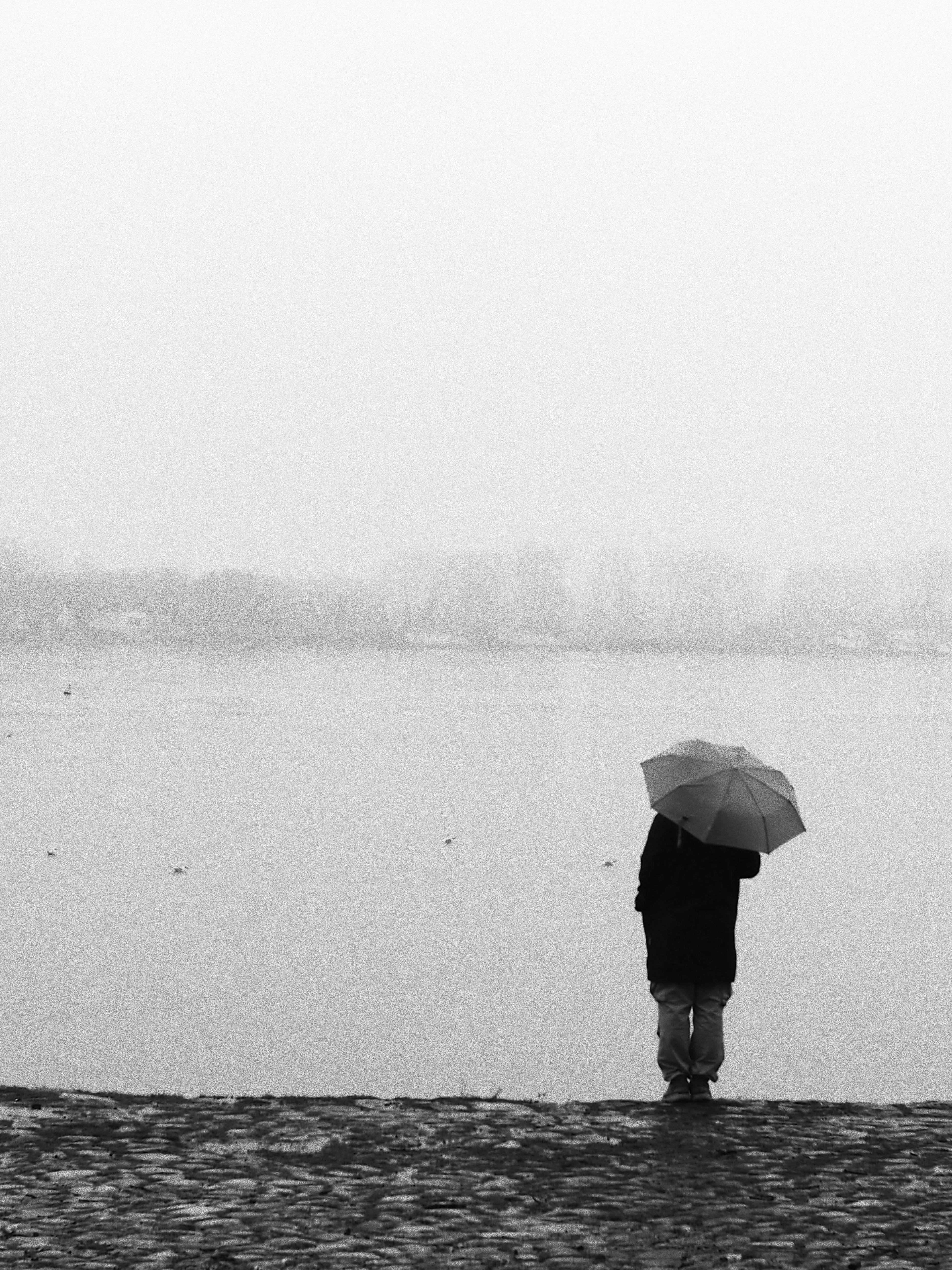 A person with umbrella stands by a foggy lakeshore in Belgrade, Serbia.