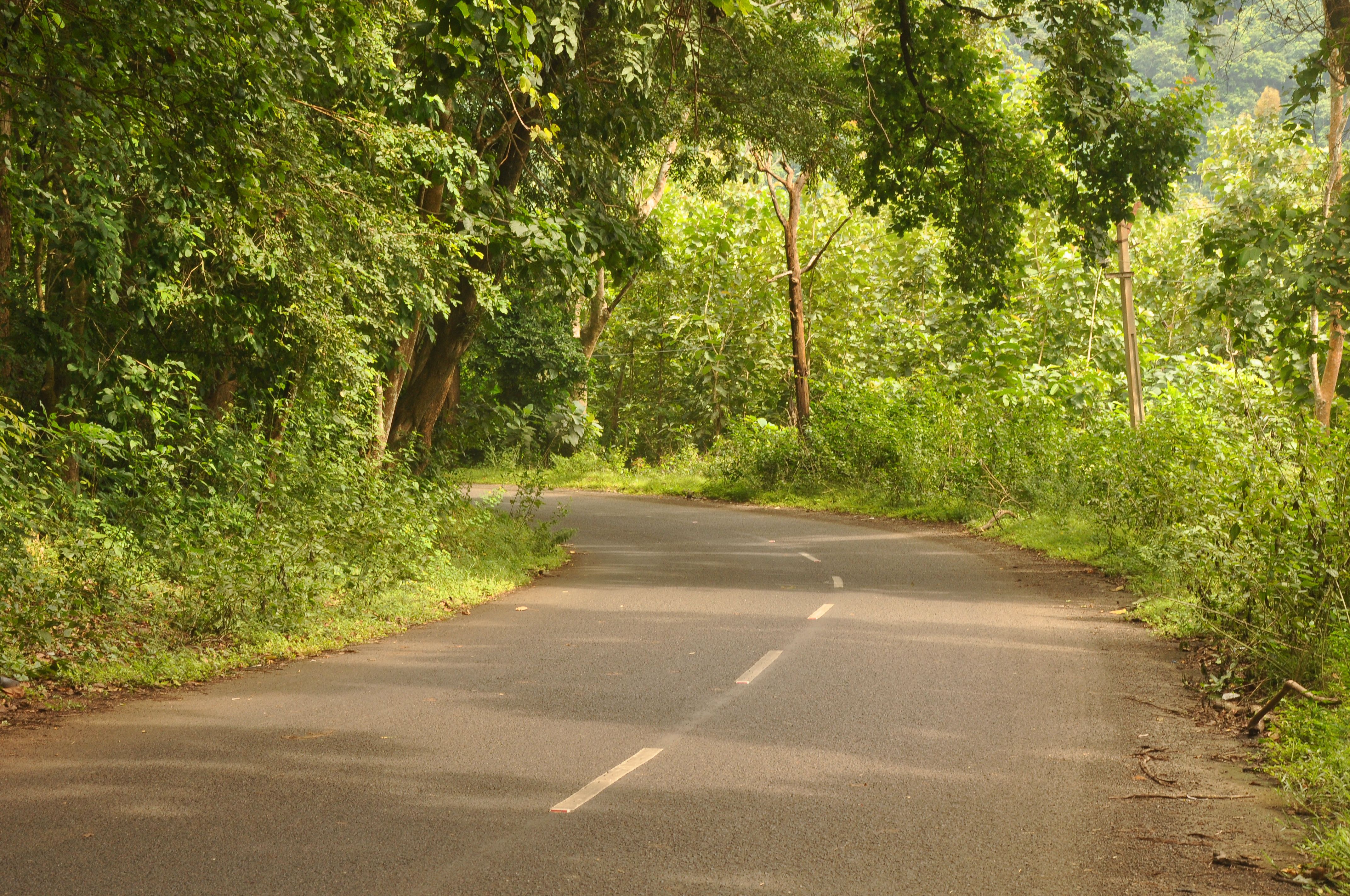 Bangalore to Karwar via Shimoga: A Complete Route Guide