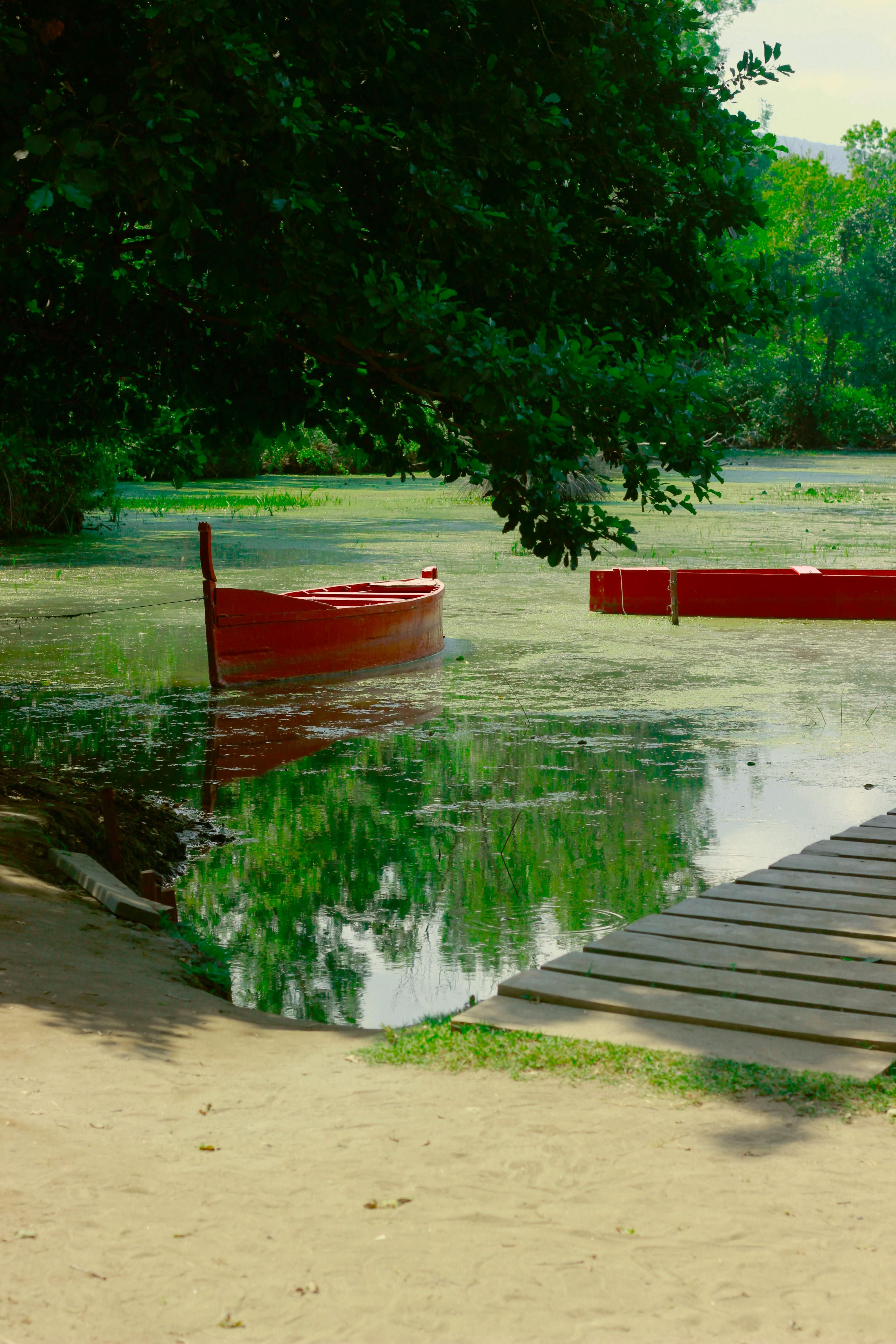 Calm scene of red boats and green lake with tree reflections in nature's tranquility.