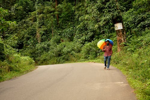 Foto profissional grátis de andando, árvores, estrada