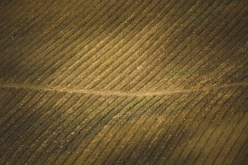 Foto d'estoc gratuïta de agricultura, camp, carretera