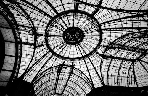 Grand Palais - Transparence