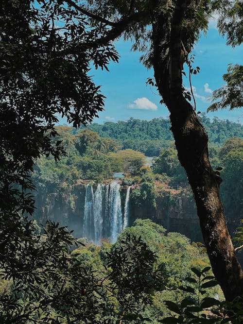 イグアスの滝, パラナ, ブラジルの無料の写真素材