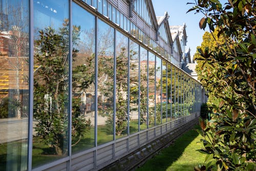 A glass wall with plants and trees in the background