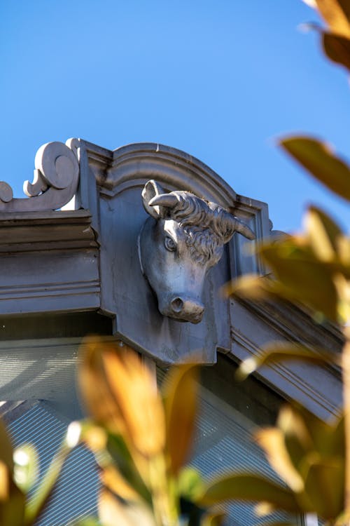 A cow head is mounted on the side of a building