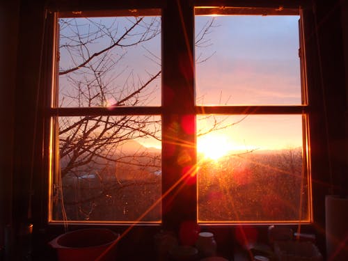 Foto profissional grátis de galhos de árvore, janela, pôr do sol