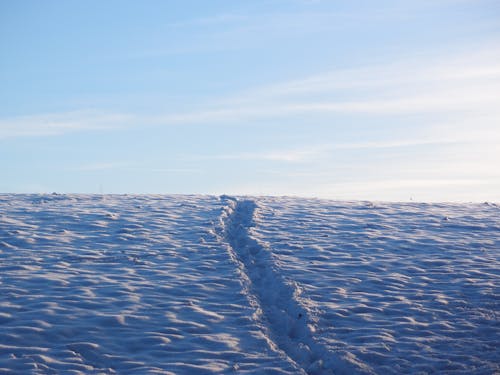 Free stock photo of path, snow, sunny day