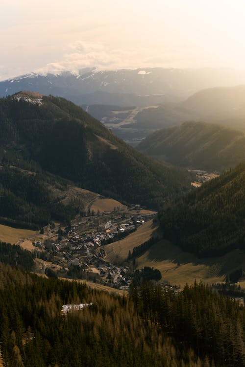 Gratis stockfoto met bergen, bomen, Bos