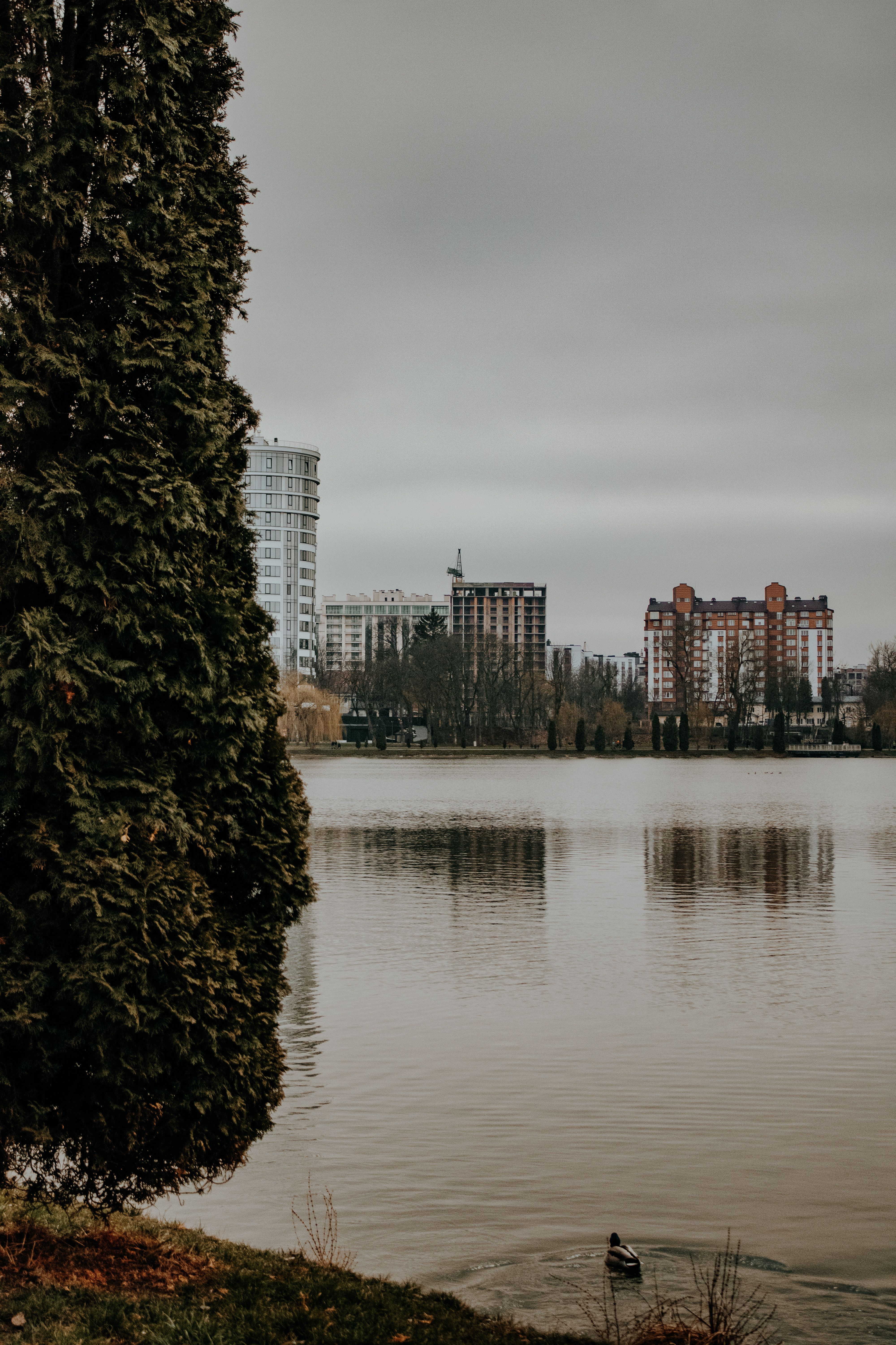 Lake in Park in City · Free Stock Photo